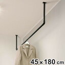 室内物干し DRY・WAVE 天井付U型ハンギングパイプ 物干し 約 45×180cm ( 天井付け物干し U型 ハンギングパイプ ドライ・ウェーブ 日本製 ハ...