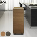 ゴミ箱 1段 45L バスク グランデペール ( ごみ箱 木目調 45リットル 袋 見えない くず入れ スリム スライド 角型 キャスター付き 幅23cm リビ...