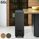 ゴミ箱 60L 2段 バスクグランデペール ( ごみ箱 木目調 60リットル 袋 見えない くず入れ 角型 リビング キッチン 隙間 日本製 ダストボックス 屑...
