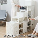 シューズケース プロフィックス2面開閉 幅26×奥行33×高さ15.5cm ( シューズボックス 1足 フラップ扉 靴 シューズ 収納 ケース ボックス 靴箱 ...