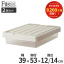 収納ケース Fits フィッツ フィッツケース スリムボックス53 フタ付き 2個セット ( 収納ボックス 収納 ケース 幅39 奥行53 高さ12/14 隙間...