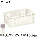 バスケット 樹脂と暮らす R100 BASKET M 収納ボックス ( 幅40.7×奥行25.7×高さ15.6cm 収納 ケース ボックス 通気性 丈夫 積み重...