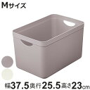 小物入れ 樹脂と暮らす R100 STORAGE CASE M 収納 ( 幅37.5×奥行25.5×高さ23cm ケース ボックス A4サイズ プラスチック 日...