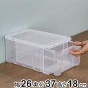 収納ボックス プレクシー ケース S A4 サイズ 日本製 ( 幅26×奥行37×高さ18cm 小物ケース 収納ケース レターケース 書類ケース 引き出し クリア 透明 小物 収納 小物入れ プラスチック 積み重ね レターボックス )【3980円以上送料無料】