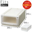 収納ケース 同色2個セット 幅35×奥行55×高さ20cm Fits フィッツケース アドバンス 3520 クローゼット ( 収納 収納ボックス 日本製 衣装ケ...