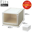 収納ケース 同色2個セット 幅40×奥行55×高さ30cm Fits フィッツケース アドバンス 4030 クローゼット ( 収納 収納ボックス 日本製 衣装ケ...