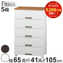 チェスト フィッツプラス メッシュ 5段 幅65×奥行41×高さ105cm FM6505 ( プラスチック 引き出し 日本製 完成品 タンス 収納 衣類収納 Fits フィッツ 衣装ケース 収納ケース 背面処理 リビング収納 洋タンス 木製天板 大容量 )【3980円以上送料無料】