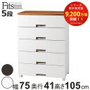 チェスト フィッツプラス メッシュ 5段 幅75×奥行41×高さ105cm FM7505 ( プラスチック 引き出し 日本製 完成品 タンス 収納 衣類収納 Fits フィッツ 衣装ケース 収納ケース 背面処理 リビング収納 洋タンス 木製天板 大容量 )【3980円以上送料無料】