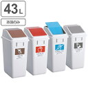 分別ゴミ箱 43L 本体のみ 屋内用 エコ分別トラッシュペールW40 ( ダストボックス 本体 業務用ゴミ箱 業務用 屋内 フタ別売 分別ごみ箱 分別 ごみ箱 ゴミ箱 プラスチック ごみばこ 日本製 ) 【3980円以上送料無料】