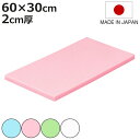 まな板 業務用 60×30cm 2cm厚 抗菌カラーまな板 SIAA抗菌 日本製 ( まないた 俎板 マナイタ カッティングボード 抗菌加工 抗菌まな板 カラー 無地 シンプル 使い分け プラスチック製 業務用まな板 )【3980円以上送料無料】