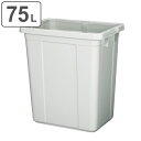 ゴミ箱 75L エコペール 本体のみ ( 75 リットル ダストボックス 大容量 プラスチック ごみ箱 角型 屑入れ 屑箱 資源ごみ 可燃ゴミ 不燃ゴミ 家庭ゴ...