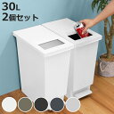 ゴミ箱 30L 同色2個セット ユニード プッシュ＆ペダル （ 30リットル ふた付き 分別 キッチン ダストボックス スリム 分別ゴミ箱 棚下 カウンター下 縦型 角型 ペダルペール 蓋付き シンプル おしゃれ 小窓 ）