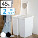 ゴミ箱 45L 同色2個セット ユニード ロック＆プッシュ ふた付き （ 送料無料 45リットル 45l 密閉 臭わない パッキン ごみ箱 幅27 ダストボックス 分別 棚下 キッチン スリム シンプル カウンター下 小窓 パッキン付き ニオイ 漏れ ） 