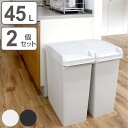 ゴミ箱 45L 同色2個セット ユニード スライドペール ( UNEED ごみ箱 45リットル 同色 2個セット 棚下OK ふた付き スライド式 スリム 分別 ...