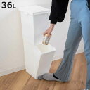 ゴミ箱 36L 2段 ネオカラー分別スリムペダル ( ごみ箱 36リットル 5分別 分別 ペダル式 スリム 縦型 キッチン ふた付き 角型 袋止め付き フック付...