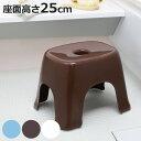 風呂椅子 25cm フロート 風呂イス バスチェア 日本製 ( 風呂いす お風呂 腰かけ フロ椅子 ふろいす 椅子 イス いす シャワーチェア 4本脚 25 銀...