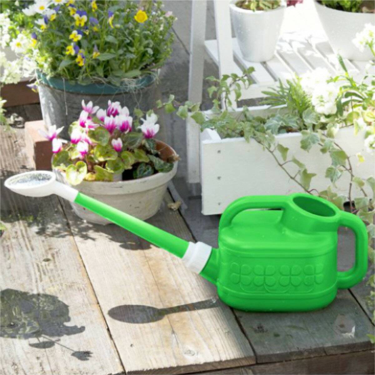 �ȥ�� ���礦�� 4�� 6�� 8�� 10�� �� ���祦�� �ȥ�ܥ��硼�� ���꡼�� �庹�� ���硼�� ǡ��Ϫ �����ǥ˥� ��� �����ǥ� ���� ��ޤ� �廵�� �����ǥ󥸥硼�� �� �夵�� �٥��� ���� ���� �ˡ�3980�߰ʾ�����̵����