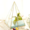プランター カピススタンドプラントホルダー 三角 ( プラントポット 植物用ポット 植木鉢 花器 ポット 多肉植物 三角形 鉢 植物 花 観葉植物 園芸 インテ...