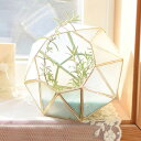 プランター カピススタンドプラントホルダー ダイヤモンド ( プラントポット 植物用ポット 植木鉢 花器 ポット 多肉植物 ダイヤモンド形 鉢 植物 花 観葉植...