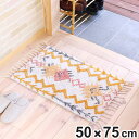 玄関マット 50×75cm 室内 カラフルジオ ( 玄関 マット 屋内 インド綿 エントランスマット ふんわり フリンジ オールシーズン ホワイト カラフル イ...