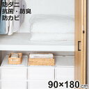 押入れシート 敷きズレ 防虫 クローゼット 収納 ( 180×90cm シート 押し入れ 床 消臭 抗菌 防カビ 棚 日本製 奥行90 すべり止め加工 押し入れ...