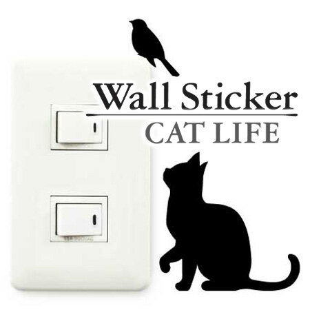륹ƥå ɻ楷 ǭ Ļȯ CAT LIFE  ƥꥢ 륷 Wall story 󥻥   ǥ졼󥹥ƥå ǥ졼󥷡 å  3980߰ʾ̵