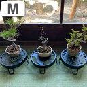 プランタースタンド 和柄プランタースタンド Mサイズ 21cm ( フラワースタンド 花台 飾り台 フラワー スタンド 丸 スチール 植木鉢スタンド 和柄 脚付...