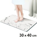 珪藻土バスマット さらっと快適足さら珪藻土バスマット 大理石柄 30×40cm Mサイズ ( 珪藻土 バスマット 吸水 速乾 足元マット マット バスグッズ 珪...