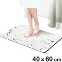 珪藻土バスマット さらっと快適足さら珪藻土バスマット 大理石柄 40×60cm Lサイズ ( 珪藻土 バスマット 吸水 速乾 足元マット マット バスグッズ 珪...