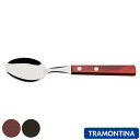 デザートスプーン 17cm ポリウッド ステンレス トラモンティーナ ( TRAMONTINA 食洗機対応 スプーン カトラリー メインディッシュ スープ シチ...