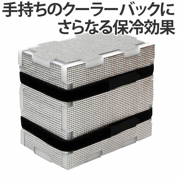 クーラーINクーラー GINBAKO クーラーバッグ用 （ クーラーボックス用 強力保冷 銀箱 便利 ...