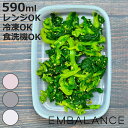 EMBALANCE 保存容器 590ml レクタングルコンテナ 角型 ( エンバランス プラスチック 食洗機対応 電子レンジ対応 冷凍 冷蔵 鮮度保持 BPAフリー ストッカー 食品保存 作り置き 発酵食品 抗酸化素材 EM保存容器 おしゃれ 機能的 )【3980円以上送料無料】