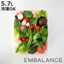 EMBALANCE 保存容器 5.7L レクタングルコンテナ 角型 ( エンバランス プラスチック 冷凍 冷蔵 鮮度保持 日本製 BPAフリー 5700ml ストッカー 食品保存 ぬか床 発酵食品 米 抗酸化素材 EM保存容器 おしゃれ )【3980円以上送料無料】