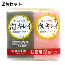 キッチンスポンジ 泡キレイ お徳用 2個パック 日本製 ( スポンジ 食器洗いスポンジ 食器用スポンジ 抗菌 無膜スポンジ 油汚れ 皿洗い 台所用スポンジ 2層 クリーナー 水切れ 傷をつけにくい 泡立ち 速乾 銀イオン 2個入 )【3980円以上送料無料】