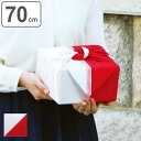 風呂敷 エコバッグ 70cm 中判 二巾 ハレ包み 片身替わり アカ ( 風呂敷き 中判風呂敷 ふろしき 紅白 綿100% お祝い ハレの日 水引き 年末 年始...