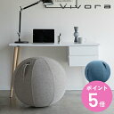 【先着】最大400円OFFクーポン有！ バランスボール シッティングボール ルノラ シェニール Vivora Sitting Ball Luno Chenille 65cm （ エクササイズボール ヨガボール ジムボール アンチバースト カバー付き 空気入れ付き ノンバースト ）【3980円以上送料無料】