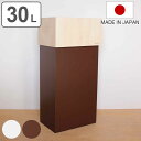 ゴミ箱 30L ヤマト工芸 W CUBE ( 送料無料 ごみ箱 30リットル おしゃれ ダブルキューブ 木目 角型 四角 分別 日本製 リビング 袋 見えない ...