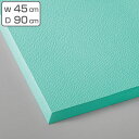クッションマット ソフトマット レジ用 業務用 45×90cm ケアソフトレジ用 ( 送料無料 コンドル 山崎産業 疲労軽減マット 疲労軽減 クッション マット...