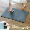 バスマット 珪藻土 ソフトバスマット 40×60cm ソフト ( 珪藻土バスマット 軽量 速乾 吸収 足ふきマット 滑り止め 抗菌 消臭 アスベスト不使用 お風...