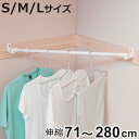 物干し 室内 快適室内干し 室内物干し どこでも伸縮ポール S M L 70〜280cm ( 部屋 収納 衣類 衣類収納 突っ張り つっぱり 部屋干し 室内物干...
