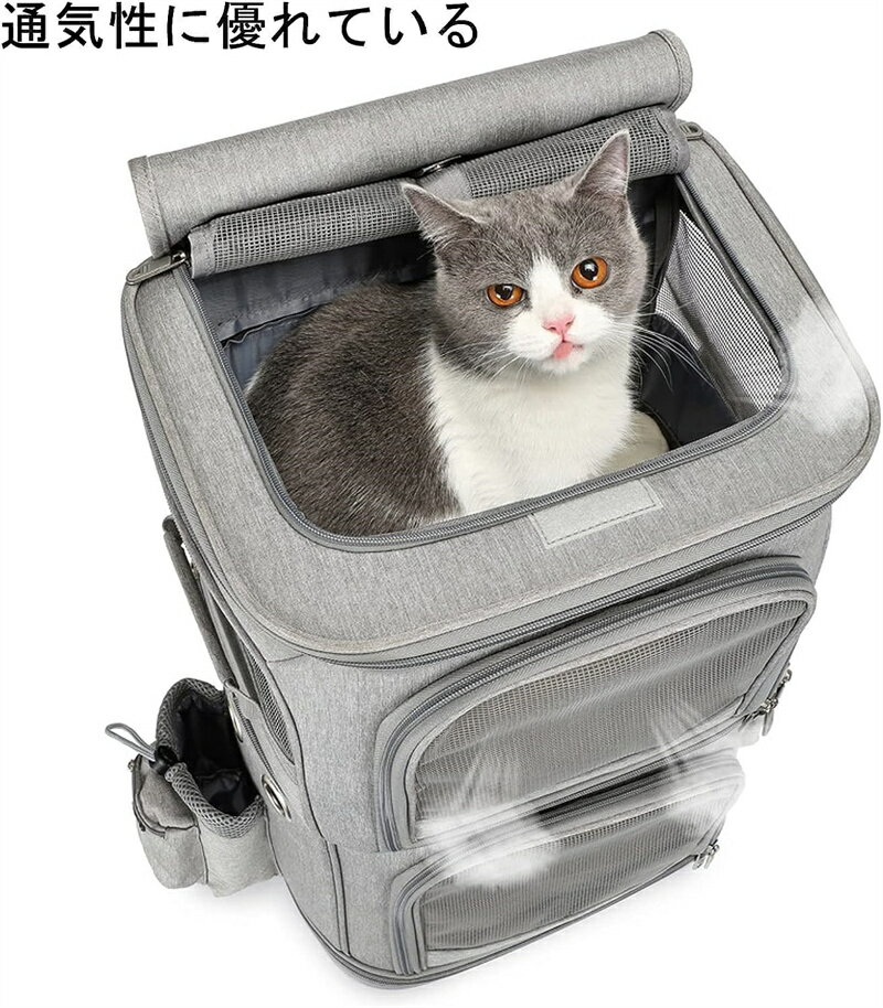 ǭ 2ɤ ���å� ʬΥ�� ����꡼ 2�� �ڥå� ����꡼�Хå� ������ ���եȥ��졼�� �ޤꤿ���߲� �ޥå��դ� 2way �̱��� �ڥåȥ���꡼ ���å� ǭ ǭ�� �� �ڥåȥ���꡼������ �ޤ���� �ɥ饤�� ���㥹�����դ� 4��360�ٲ�ž �������ʤ� ι�� �ɺ� ������ ����꡼