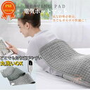 ホットマット 電気ホットマット 40*30cm ホットカーペット PSE認証済 電気毛布 足元ヒーター 加熱 電気あんか 電気座布団 防寒保温 暖房器具 温度調...