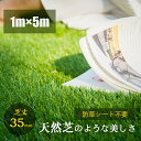 人工芝 ロール 1m×5m 芝丈35mm ピン22本つき 4色立体感 透水穴つき リアル ふかふか 高品質 高密度 色落ちにくい 抜けにくい 復元性 立体感