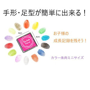 【ミニ色紙2枚プレゼント中】水性 スタンプ台 20色セット インクパッド フィンガーペイント 手形 足型 育児スタンプ 成長記録 年賀状 結婚式 知育 ミニサイズ 速乾 インク通販セール 年賀状印刷 年賀状作成ソフト セール