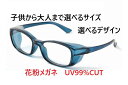 【送料込】 子供用 大人用 花粉メガネ 花粉眼鏡 花粉症対策グッズ 就学前から大人まで 2サイズ 2デザインからお選びください！花粉症 花粉 対策 黄砂 ホコリ アレルギー 予防