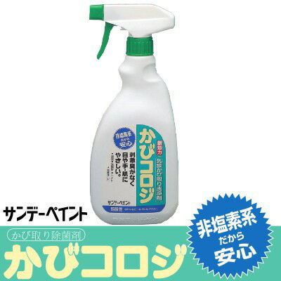 サンデーペイント かびコロジ [250ml] サンデーペイント・乳酸・浴室・洗面所・排水溝・非塩素