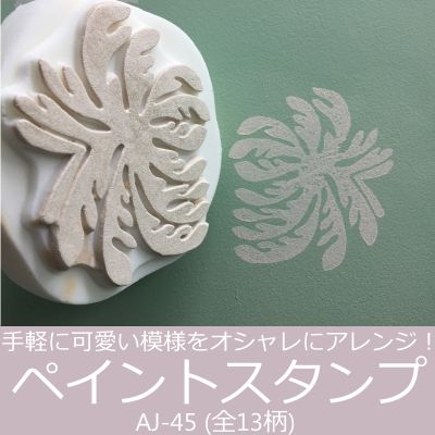ڥȥ 硦2ĥå[AJ-45] ȡDIYߥ륯ڥȡ̡ȶ񡦹 ɻ