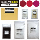 そめそめキット Pro 綿・麻用-レッド系 11色【驚異の全138色!S・M・Lサイズ】綿・麻専用のプロ仕様の染料キット 染めたいものの重さでサイズを選ぶ 家庭...