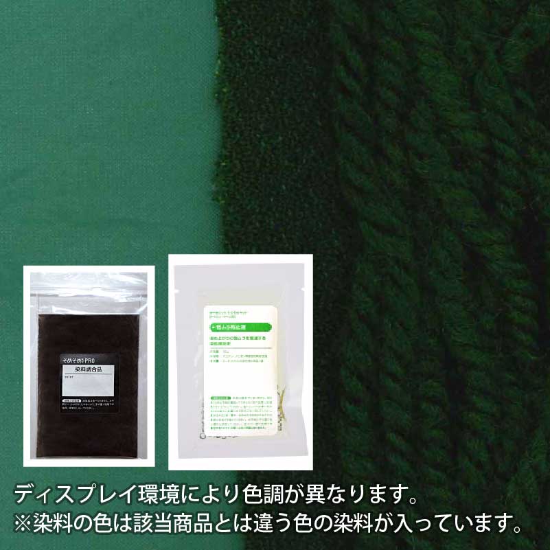 롦ʥ Ѥ ᥭå  ꡼ CACTUS GREEN ( ꡼ з )  ᤽ᥭåPro ...
