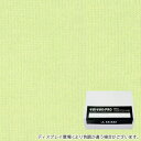 キット 染め ハンドメイド シャーベットライム色に染める綿 麻布用染料 Lサイズ（1kgまでの素材用） そめそめキットPro プロ仕様 家庭用 反応染料 染め粉 Tシャツ 布用 染色キット 布 服 ハンドメイド セット S-0227